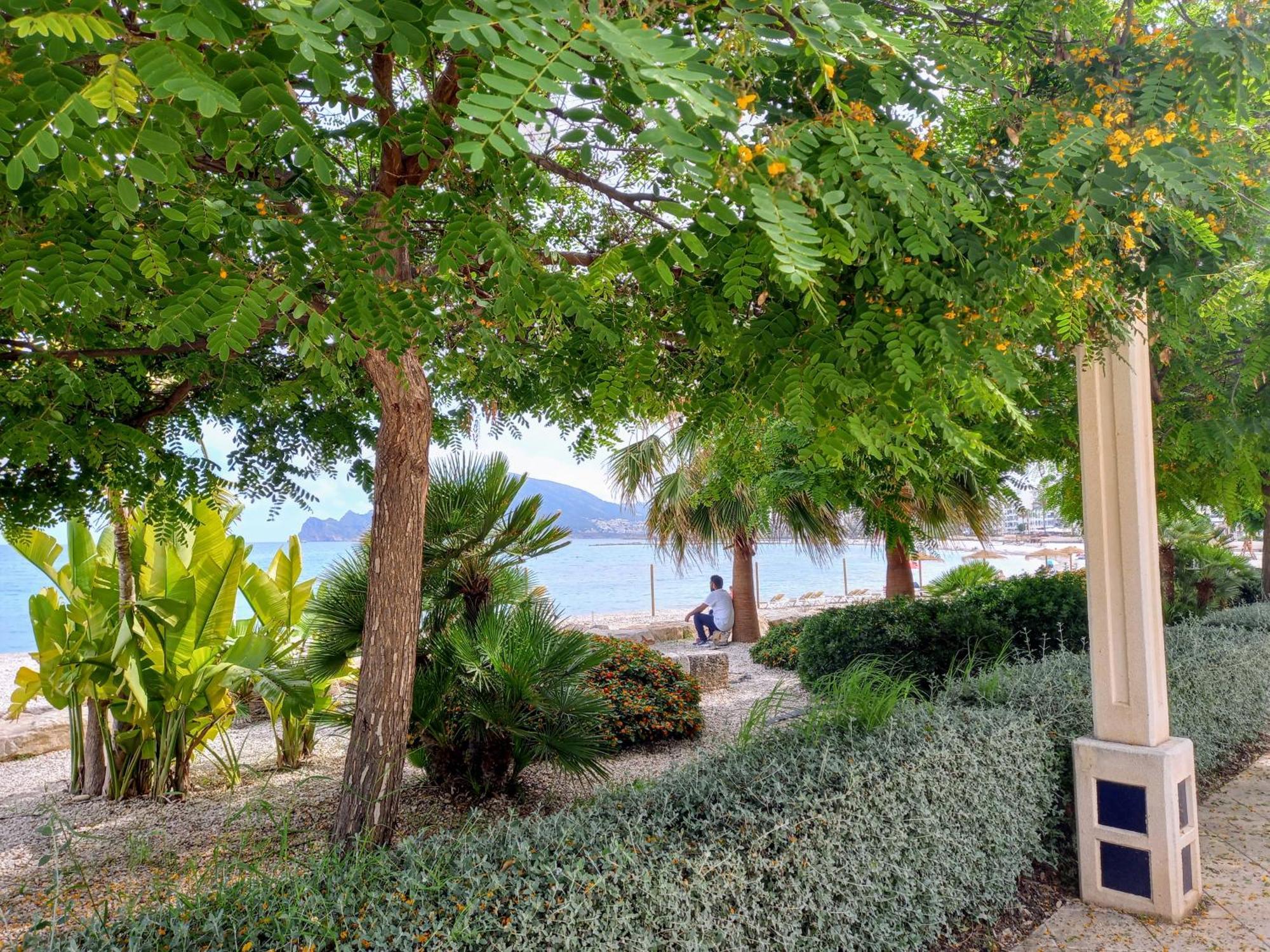 Hébergement de vacances Townhouse Los Olivos M Altea